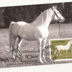 CA15 -Carte Postala- 110 ani Herghelia de cai Sambata de jos -Rasa Lipitan 1984