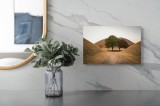 Tablou Canvas, "&Icirc;ntre tăcerea dealurilor toamnei", Apus, Dealuri, Copaci, Cărare, Peisaj, Serenitate, Natură, Orizont, Culori, Tihnă, 39 x 26 cm, CMCL