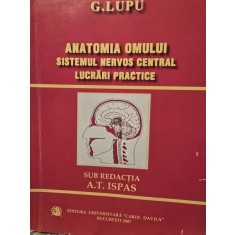 G. Lupu - Anatomia omului. Sistemul nervos central. Lucrari practice
