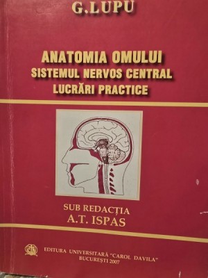 G. Lupu - Anatomia omului. Sistemul nervos central. Lucrari practice foto
