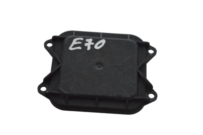 Unitate de control lumini xenon BMW X5 E70 2008 OEM: 7189311 24569676