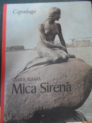 Mica Sirena - Vasile Ileasa ,549046 foto