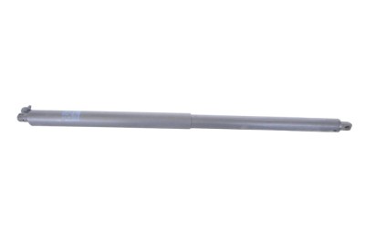 Amortizor haion st&amp;acirc;nga TESLA MODEL S 2014 OEM: 6006611-00-B 24566044 foto