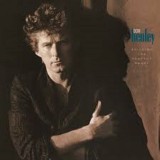 Building The Perfect Beast - Vinyl | Don Henley