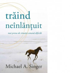 Traind neinlantuit, mai presus de situatia umana dificila - Michael A. Singer