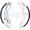 DELPHI LS1859 Set saboti frana