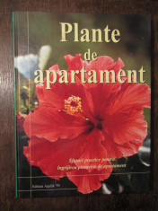 Plante de apartament - Jane Courtier foto