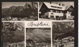CPIB 22553 - CARTE POSTAL - BUSTENI. mozaic, NECIRCULATA