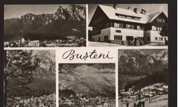CPIB 22553 - CARTE POSTAL - BUSTENI. mozaic, NECIRCULATA
