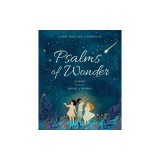 Psalms of Wonder: Poems from the Book of Songs