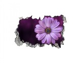 Autocolant decorativ, Gaura in perete, Arbori si flori, Multicolor, 83 cm, 318ST-3, Oem