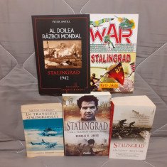 STALINGRAD/IN TRANSEELE STALINGRADULUI-BEEVOR/JONES/ANTILL/NEKRASOV/JAKOBS