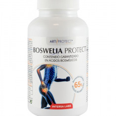 Supliment Alimentar pentru Protectia Articulatiilor Boswelia Protect 45 capsule Dieteticos Intersa