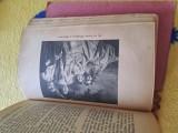 &bdquo;Povestea vieții mele&rdquo; &ndash; Maria, Regina Rom&acirc;niei Partea a III-a: &bdquo;T&acirc;nără soție&rdquo; Ediția a IV-a Editura Adevărul S.A.