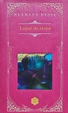 Cumpara ieftin Lupul de Stepa - Hermann Hesse - Rao 2015, 269 pagini, Coperta Cartonata - Stare Foarte Buna