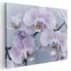 Tablou floare orhidee, detaliu, alb, roz 1577 Tablou canvas pe panza CU RAMA 60x80 cm