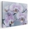 Tablou floare orhidee, detaliu, alb, roz 1577 Tablou canvas pe panza CU RAMA 60x80 cm