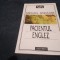 MICHAEL ONDAATJE - PACIENTUL ENGLEZ