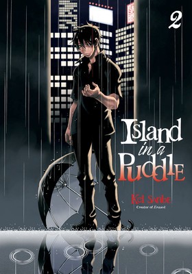 Island in a Puddle 2 foto