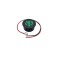 Voltmetru digital LED DC 4-100V rotund verde