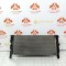 Radiator Apa BMW Seria 1 2 X1 X2 Mini 2013-2023