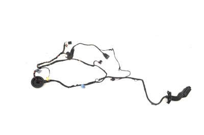 Cablaj ușă dreapta față AUDI TT FV3 2018 OEM: 8S0971029M 10779293 foto