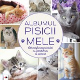 Albumul pisicii mele. Cele mai frumoase amintiri cu animalul meu de companie, Litera