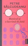 BUNICUL SI O LACRIMA DE FATA-PETRE SALCUDEANU-354964