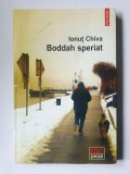 Ionuț Chiva - Boddah speriat (povestiri)