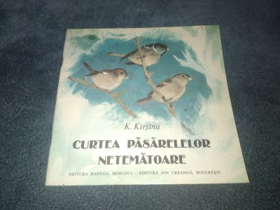 K KIRSINA - CURTEA PASARILOR NETEMATOARE foto