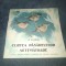K KIRSINA - CURTEA PASARILOR NETEMATOARE