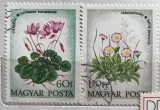 (B ) Timbre serii Straine Flora Flori Ungaria, Stampilat