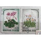 (B ) Timbre serii Straine Flora Flori Ungaria