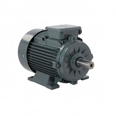 Motor electric trifazat 0.18KW, 1000RPM, B3 230/400V, IP55 IE1 foto