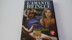 L&amp;#039;amante bilingue foto