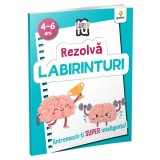 Cumpara ieftin Labirinturi, - Editura Gama