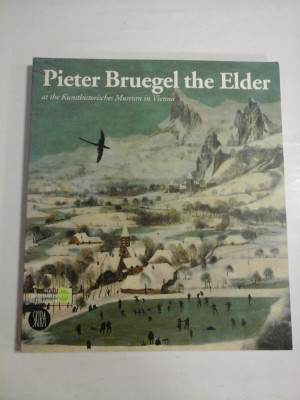 Pieter Bruegel the Elder - At the Kunsthistorisches Museum in Vienna foto