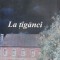 La tiganci - Mircea Eliade