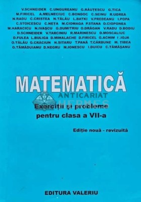 Matematica. Exercitii si probleme pentru clasa a VII-a - 2008 - V. Schneider (D236) foto