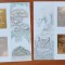 GUYANA 1994- 4518-19 Faună Insecte Lăcustă Molie Ț&acirc;nțar pe folie AUR ARGINT&#039;&#039;-2coli -nedant&#039;&#039;Metalizate--tiraj redus-MNH NESTAMP. -vezi scan