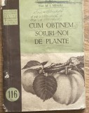 DVP RPR1 Cum obtinem soiuri noi de plante - Nr. 116