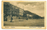 4650 - BISTRITA, Market, Romania - old postcard - used - 1925, Circulata, Printata