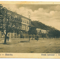 4650 - BISTRITA, Market, Romania - old postcard - used - 1925