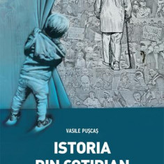 Istoria din cotidian - Paperback - Vasile Pușcaș - Școala Ardeleană