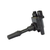 Bobina inductie Magneti Marelli 060717093012