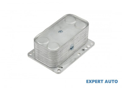 Radiator racire ulei Opel Vivaro A (2001-&amp;gt;)[X83] #1 foto
