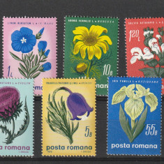 Romania ,flori de stepa, nr lista 719.