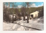 FA153 - Carte Postala - ITALIA - Le Piastre. Viale dei Tigli, circulata 1964
