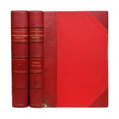 Bogdan Petriceicu-Hasdeu, Etymologicum Magnum Romaniae, patru volume