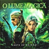 O lume magica - Carte de colorat - Flamingo Junior